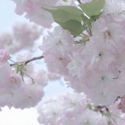 兽设配饰设计灵感合集福瑞群